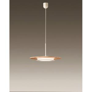 ダイコー DXL-81101 LEDペンダント 電球色 新品 送料無料