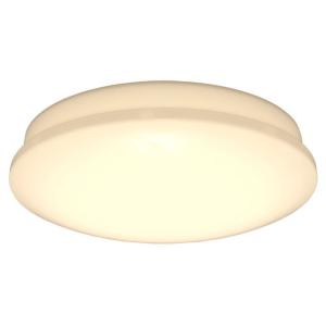 アイリスオーヤマ CL6DL-6.1V LEDシーリングライト プレーン 6畳 調色・調光対応 音声...