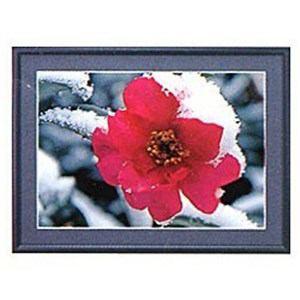 フジカラー アルミ額縁 A28 ブラック 新品 送料無料