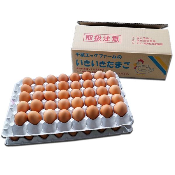 黄身の色 と 濃厚 度合いが ハンパない 卵 養鶏場からお届け 業務用 鶏卵 いきいきたまご （80...