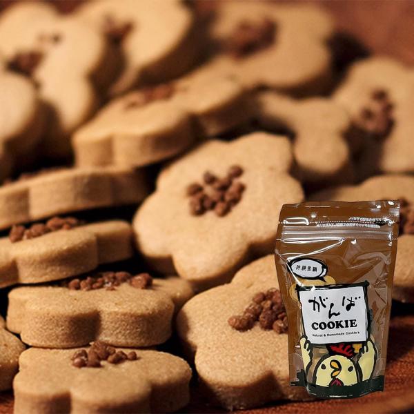 がんばカンパニー 沖縄黒糖クッキー 卵使用 80g 保存料不使用 手作り プチギフト