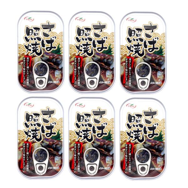 鯖缶 照り焼き100gx6缶 サバ 缶詰 さば缶 照焼 おつまみ アテ 酒の肴 業務用 おつまみセッ...