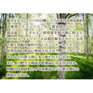 JAY&CO. フィンランド産 キシリ...の詳細画像4