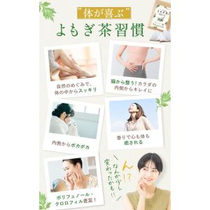 喜保屋 よもぎ茶 国産 無添加 3g×30包 ...の詳細画像3