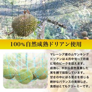 【冷凍ドリアン】ムサンキング(D197)種 d...の詳細画像2