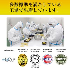 【冷凍ドリアン】ムサンキング(D197)種 d...の詳細画像3
