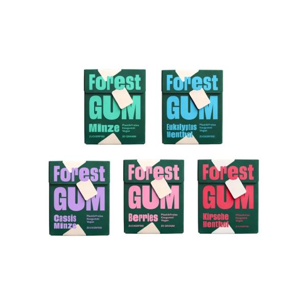 ナチュラル チューインガム［フォレストガム］バラエティパック 5種類, 各1個（計5個）(20g×5...