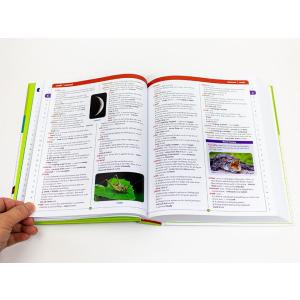アウトレット SCHOLASTIC Child...の詳細画像2