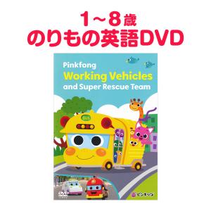 たんたんり　ピンキッツDVD4枚セット たんたんり様専用 ピンキッツDVD4枚セット