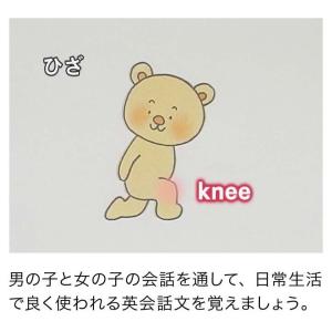 英語のきほん 基本文と英単語 DVD 正規販売...の詳細画像3