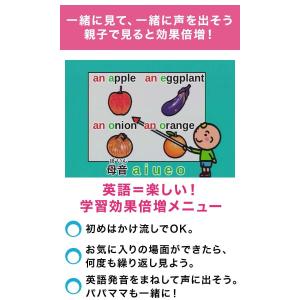 英語のきほん 基本文と英単語 DVD 正規販売...の詳細画像4