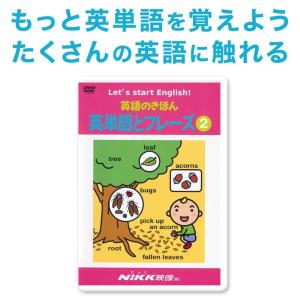 英語のきほん 英単語とフレーズ2 DVD 正規販売店 NIKK映像 幼児英語 子供 小学生 英語教材...