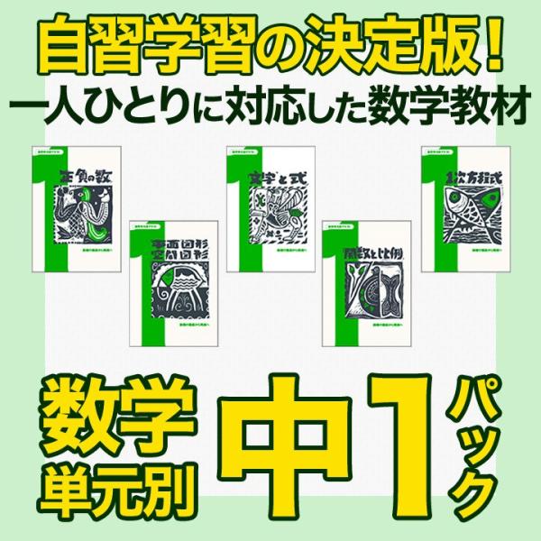 数学単元別中1パック全5冊 学林舎 正規販売店 中学 1年生 数学 基礎 学習 問題集 ドリル