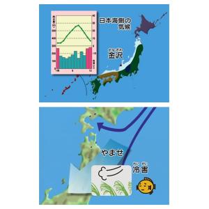 わかるよ!日本の地理 小学生の社会 DVD 送...の詳細画像2