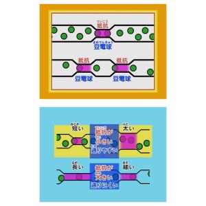 わかるよ!電流・電磁石 小学生の理科 DVD ...の詳細画像1