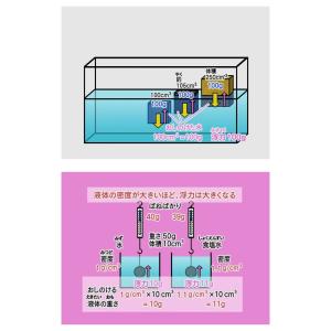 わかるよ!力のはたらき1 小学生の理科 DVD...の詳細画像2