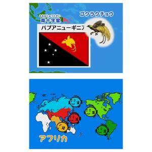 おぼえちゃおう!せかいの国旗 DVD 日本語 ...の詳細画像2