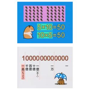 わかるよ!かけ算わり算 DVD 日本語 正規販...の詳細画像1