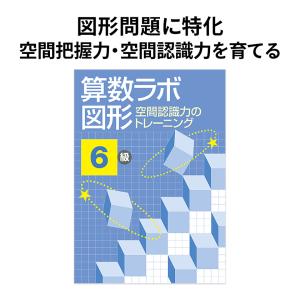 算数ラボ図形 7級 新学社 正規販売店 小学5年 ドリル 問題集 : 英語伝