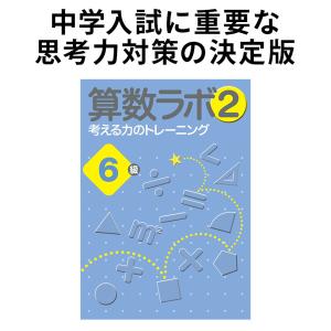 算数ラボ2 6級 新学社 思考力検定サポート教材 算数ラボ続刊 入試に必要な考える力 空間認識力を育てる ドリル