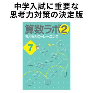算数ラボ2 7級 新学社 思考力検定サポート教材 算数ラボ続刊 入試に必要な考える力 空間認識力を育てる ドリル
