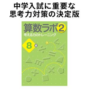 算数ラボ2 8級 新学社 思考力検定サポート教材 算数ラボ続刊 入試に必要な考える力 空間認識力を育...