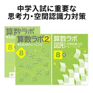 算数ラボ ペアセット 算数ラボ図形 8級 新学社 正規販売店 小学4年 ドリル 問題集｜eigoden