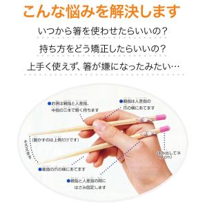 箸 子供 六角知能箸 せいわ 日本製 正規品 ...の詳細画像2