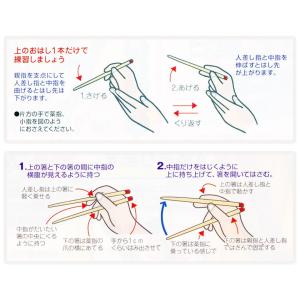 箸 子供 六角知能箸 せいわ 日本製 正規品 ...の詳細画像3