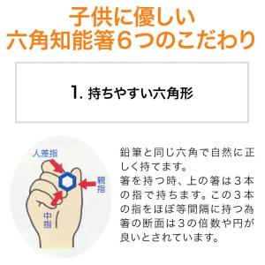 箸 子供 六角知能箸 せいわ 日本製 正規品 ...の詳細画像4