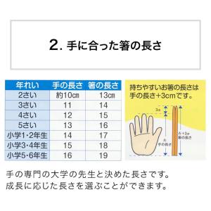 箸 子供 六角知能箸 せいわ 日本製 正規品 ...の詳細画像5