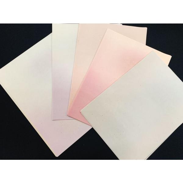 半紙判　料紙　うたよみ　金銀砂子　絹目入　5色50枚セット