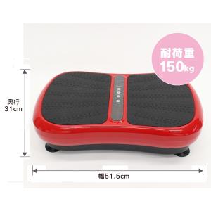バイブレーションスタンドmini バランスボー...の詳細画像4