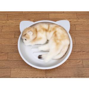 ひんやりねこなべ クールたらい