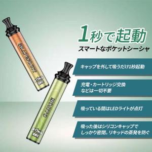 シーシャ 持ち運び ATING BAR(エイテ...の詳細画像2