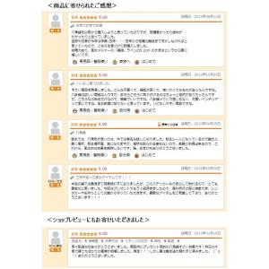 風水 八角鏡 ミラーステッカー 最強 魔よけ ...の詳細画像3