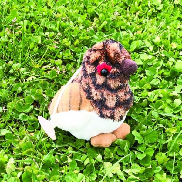 雷鳥ぬいぐるみ 吊るしマスコット タイインク Ty Inc. プレゼント