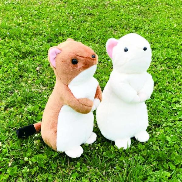 おこじょぬいぐるみ2L タイインク Ty Inc. プレゼント