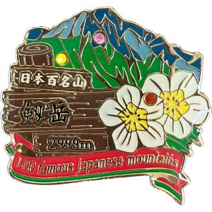 四阿山ピンズ ピンバッチ ピンバッジ PINS 日本百名山シリーズ