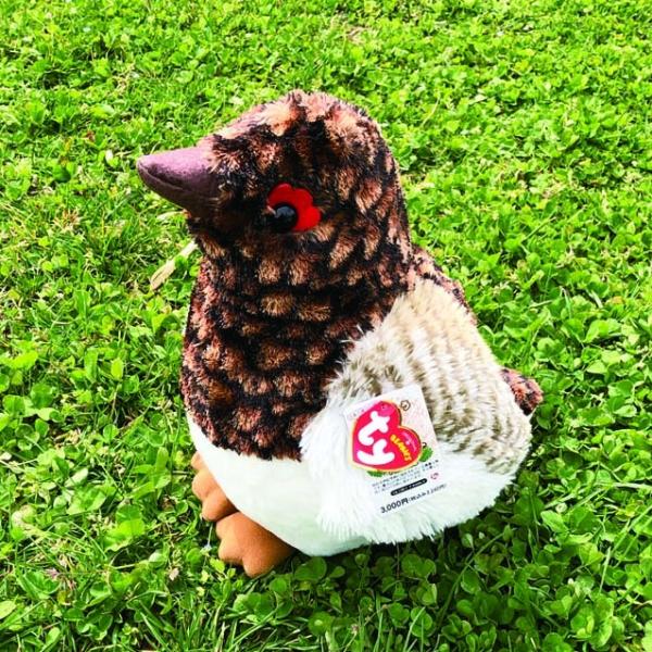 雷鳥ぬいぐるみ2L タイインク Ty Inc. プレゼント