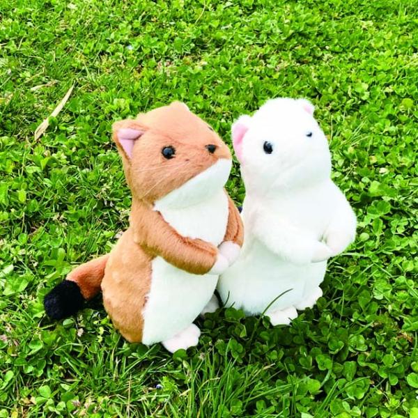 おこじょぬいぐるみ M  タイインク Ty Inc. 白 茶 プレゼント