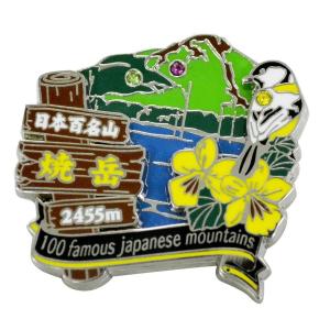 四阿山ピンズ ピンバッチ ピンバッジ PINS 日本百名山シリーズ