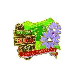 2段御嶽山ピンズ ピンバッチ ピンバッジ PINS 日本百名山シリーズ