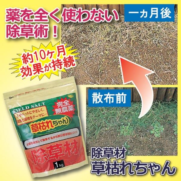 除草材「草枯れちゃん」 1kg