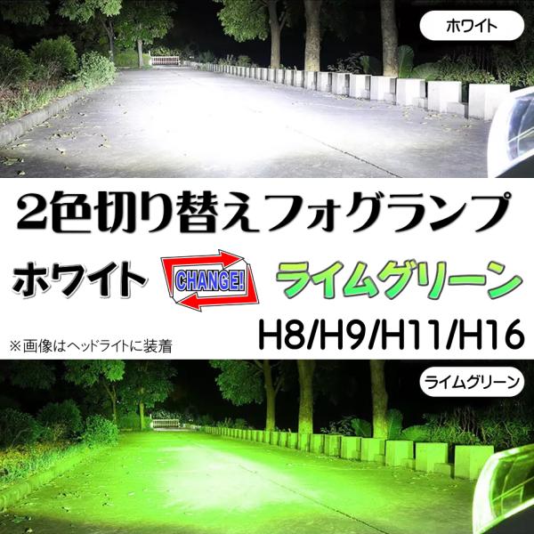 爆光 16,000lm 2カラー 切り替え式  ホワイト ライムグリーン CSP LED フォグラン...