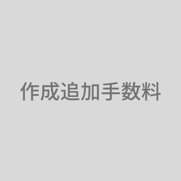 作成追加手数料　8,800円