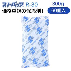 三重化学工業 スノーパック レギュラータイプ R-30 300g