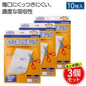 ケアエイド 大きな傷口保護パッド 滅菌 ( 10枚入 ) : 爽快ドラッグ