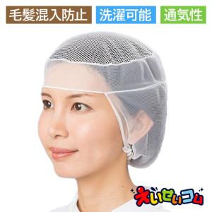 丸善化工 デリカネット クリーンネット 天メッシュ