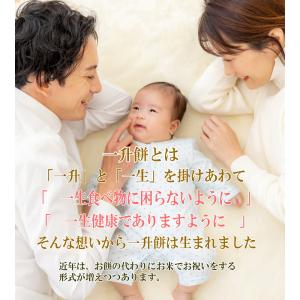 【リニューアル】一升米セット★小分け&名入れ無...の詳細画像1
